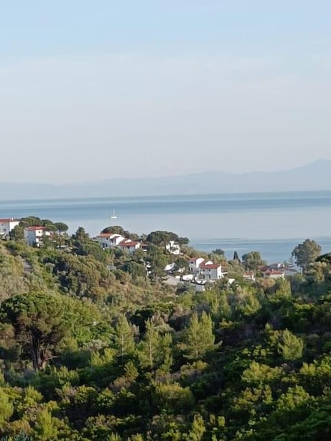 Villa Cassiopee, Skiathos Luxury Villa House in Sporades, Greece