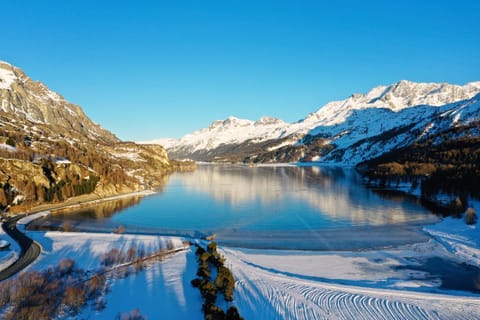 Maloja Palace Residence Engadin-St Moritz CO2-Neutral Apartment hotel in Canton of Grisons