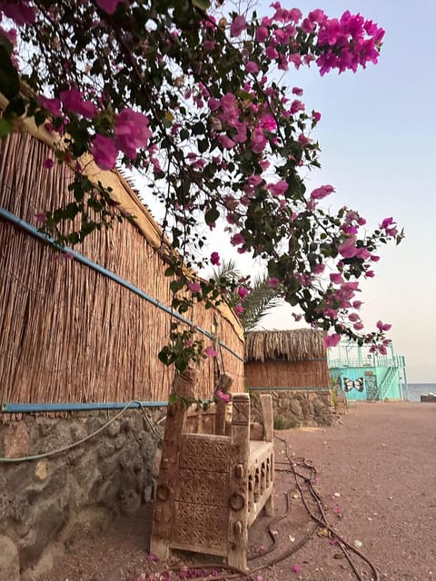 Sahara beach camp Resort in South Sinai Governorate