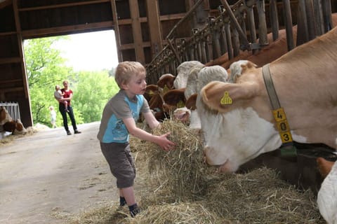 Schusterhof Urlaub auf dem Bauernhof Farm Stay in Aschau im Chiemgau