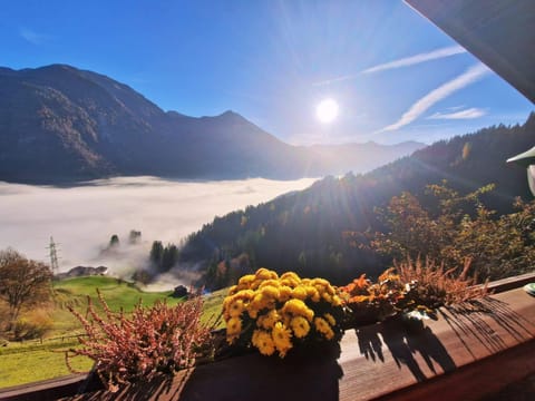 Landhaus Schwarzgütl Apartment in Bad Hofgastein