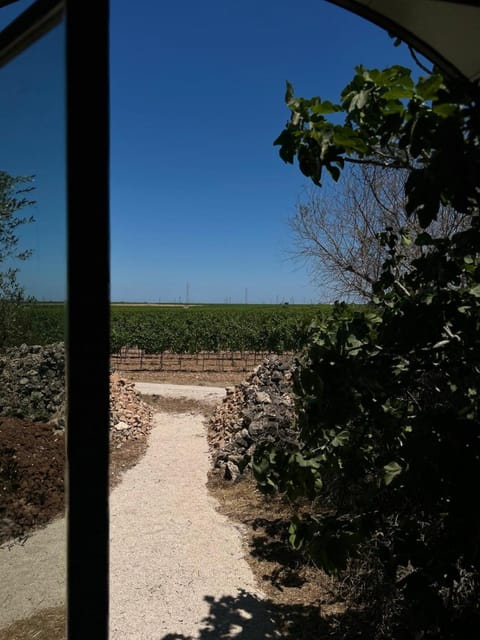 Masseria Li Reni Country House in Province of Taranto