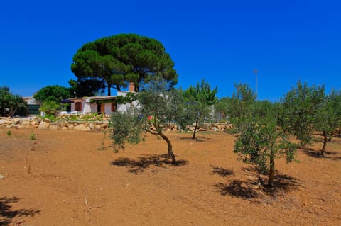 Villa 2 Pini Villa in Sicily