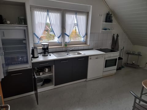 Kitchen or kitchenette, dishwasher, oven, stove