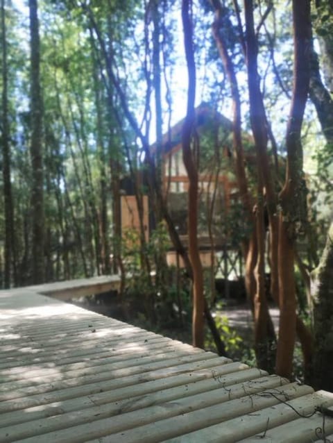 Cabaña en molco,entre Villarrica y Pucón House in Los Ríos, Chile