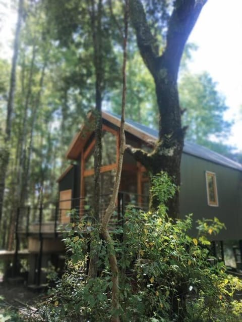 Cabaña en molco,entre Villarrica y Pucón House in Los Ríos, Chile