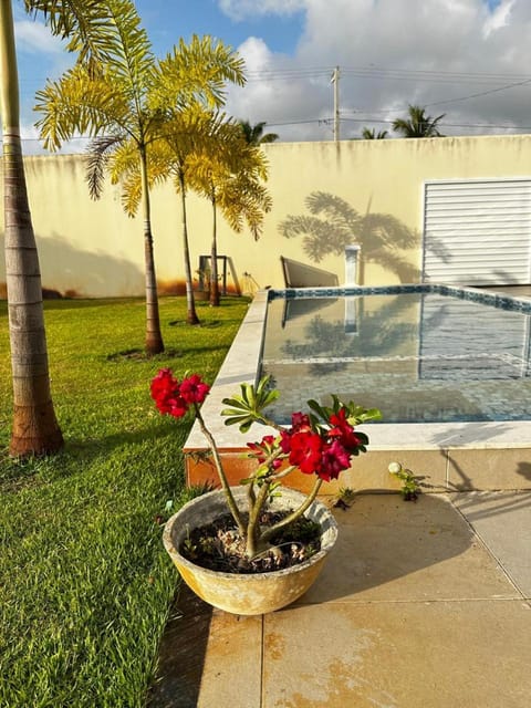 Spring, Day, Garden, Garden view, Pool view, Swimming pool, sunbed