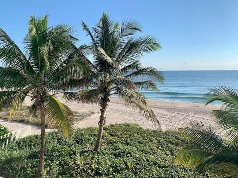 Natural landscape, Beach, Sea view