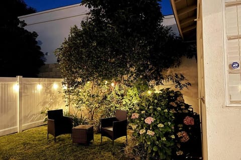 Night, Garden view