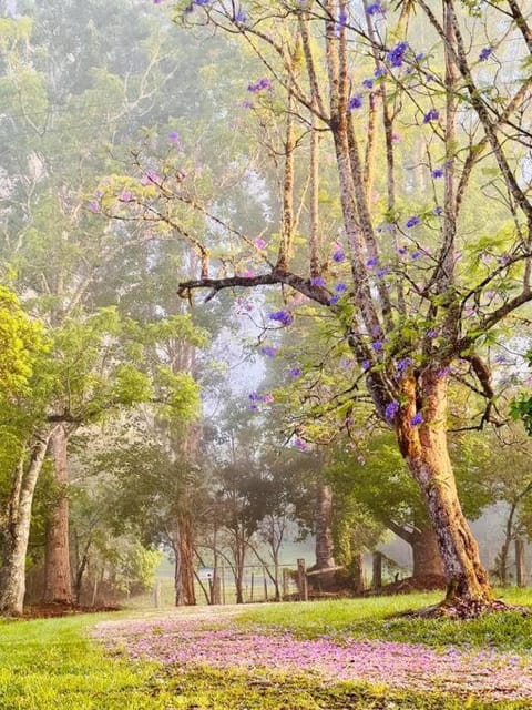 Garden, Garden view