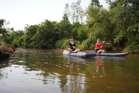 Natural landscape, Activities, Lake view