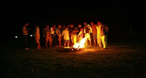 Night, group of guests