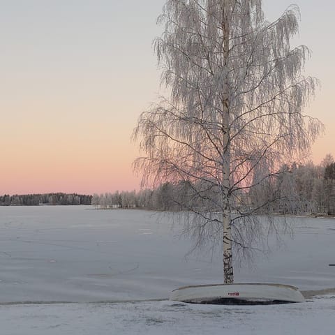 Day, Natural landscape, Winter