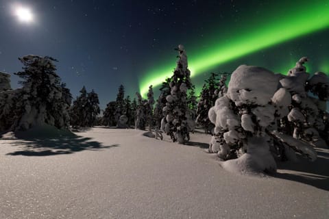 Reino Apartment House in Lapland