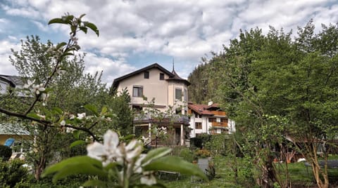 Property building, Spring, Day, Natural landscape, Garden, Garden view