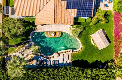 Day, Garden, Garden view, Pool view, Swimming pool