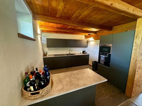 Kitchen or kitchenette, minibar, oven