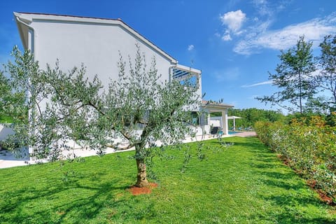 Villa Onyx for 12 people near Porec with 65 private pool and jacuzzi Villa in Istria County