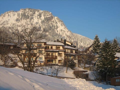 Property building, Natural landscape, Winter