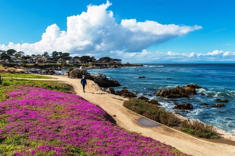 3957 Lighthouse Landing Duplex Apartment in Pacific Grove