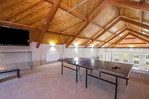 Game Room, Table tennis