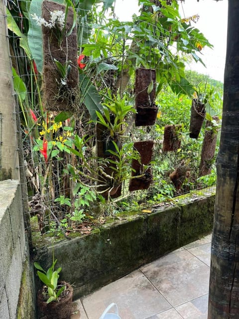 Garden view, Inner courtyard view