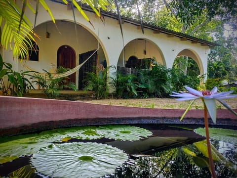 Casa pájaros- Habitación Colibri Bed and Breakfast in Troncones