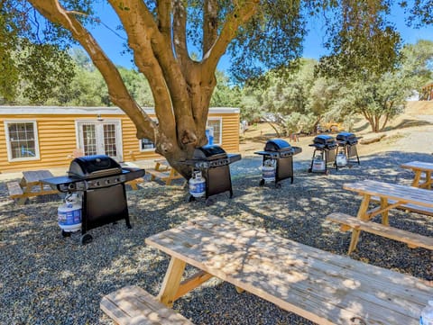 BBQ facilities, Kitchen or kitchenette, Communal kitchen