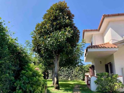 Property building, Garden, Garden view