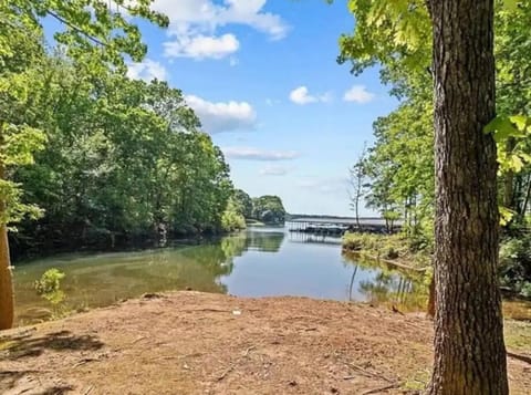 Clemson Lakeside ParkPass PizzaOven YouTubeTV FirePit House in Lake Hartwell