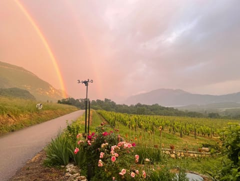 Appartement dans un vignoble Apartment in Haute-Savoie
