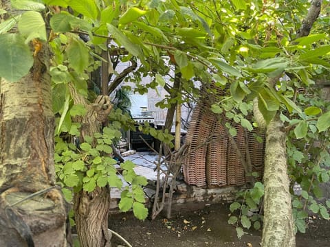 ДОМ House in Yerevan