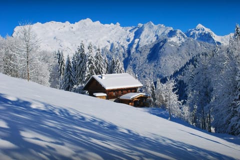 Off site, Day, Natural landscape, Winter, Mountain view