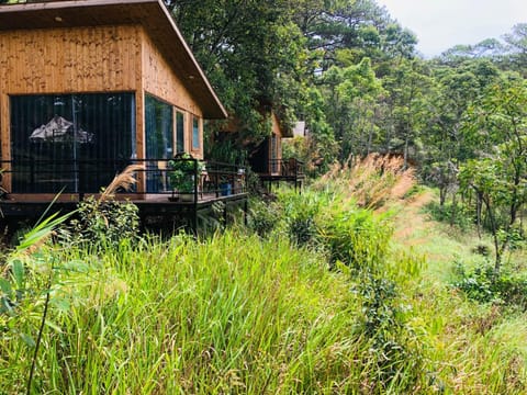 Ajisai Glamping Nature lodge in Dalat