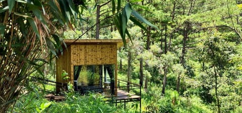 Ajisai Glamping Nature lodge in Dalat