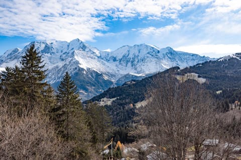 Appartement vue Mont Blanc Apartment in Saint-Gervais-Bains