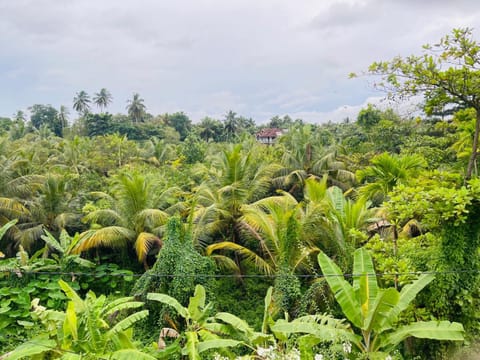 Balcony/Terrace, Garden view