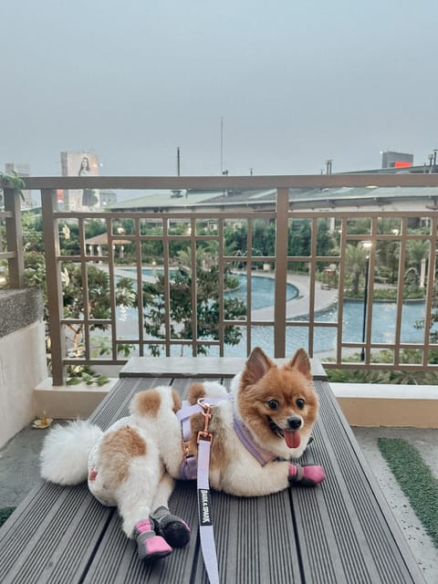 View (from property/room), Balcony/Terrace, Pets