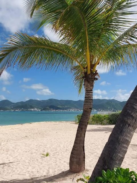 Ma cabane sur la plage Villa in Sint Maarten