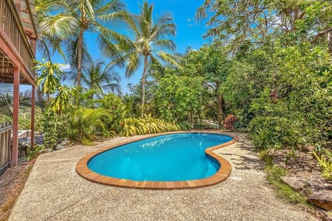 Garden, Pool view, Swimming pool