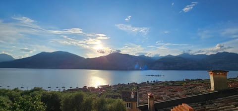 Lake view