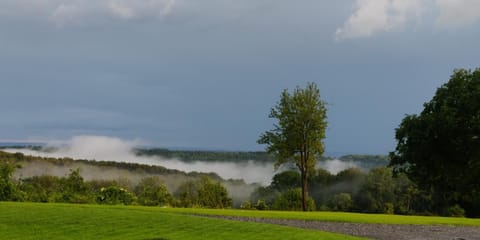 Natural landscape, Garden