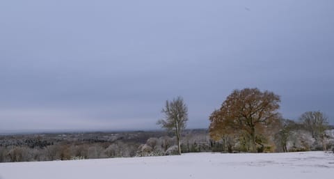 Natural landscape, Winter