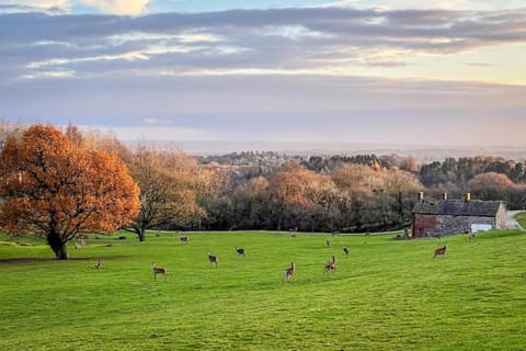 Weaver, woodland lodge with hot tub for 12 House in Staffordshire Moorlands District