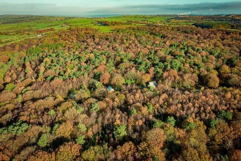 Wootton, woodland lodge with hot tub for 8 House in Staffordshire Moorlands District