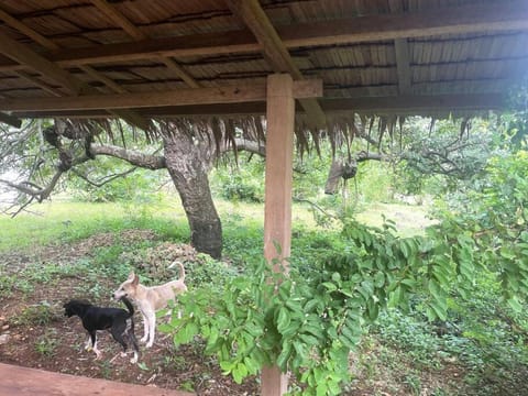 Jermaine quiet house House in Northern Mindanao