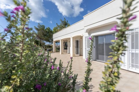 Property building, Garden, Garden view