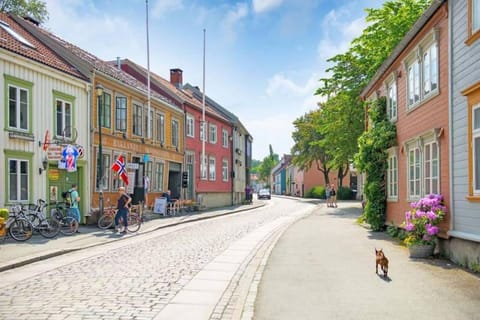 Sentral leilighet på Bakklandet Apartment in Trondheim