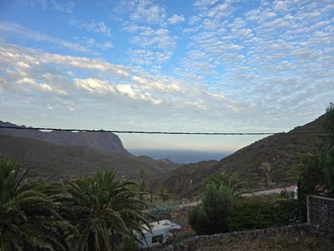 Garden, Sea view