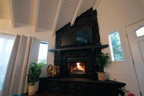 TV and multimedia, fireplace